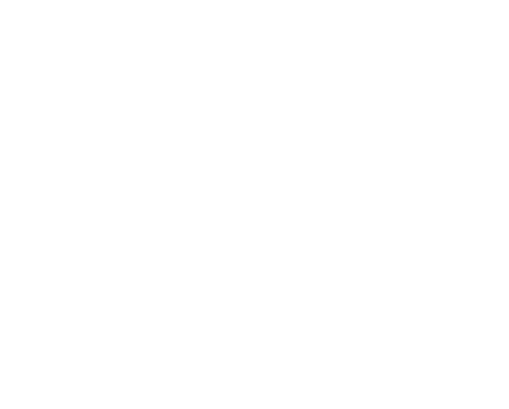 Mitra Partners